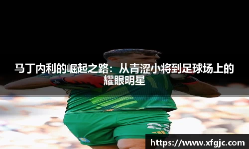 马丁内利的崛起之路：从青涩小将到足球场上的耀眼明星
